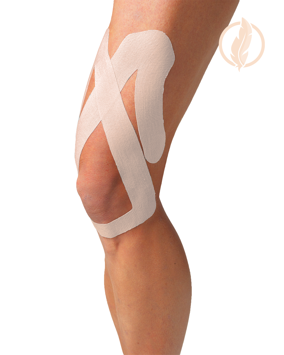 Pro Knee ( 2 Pack)