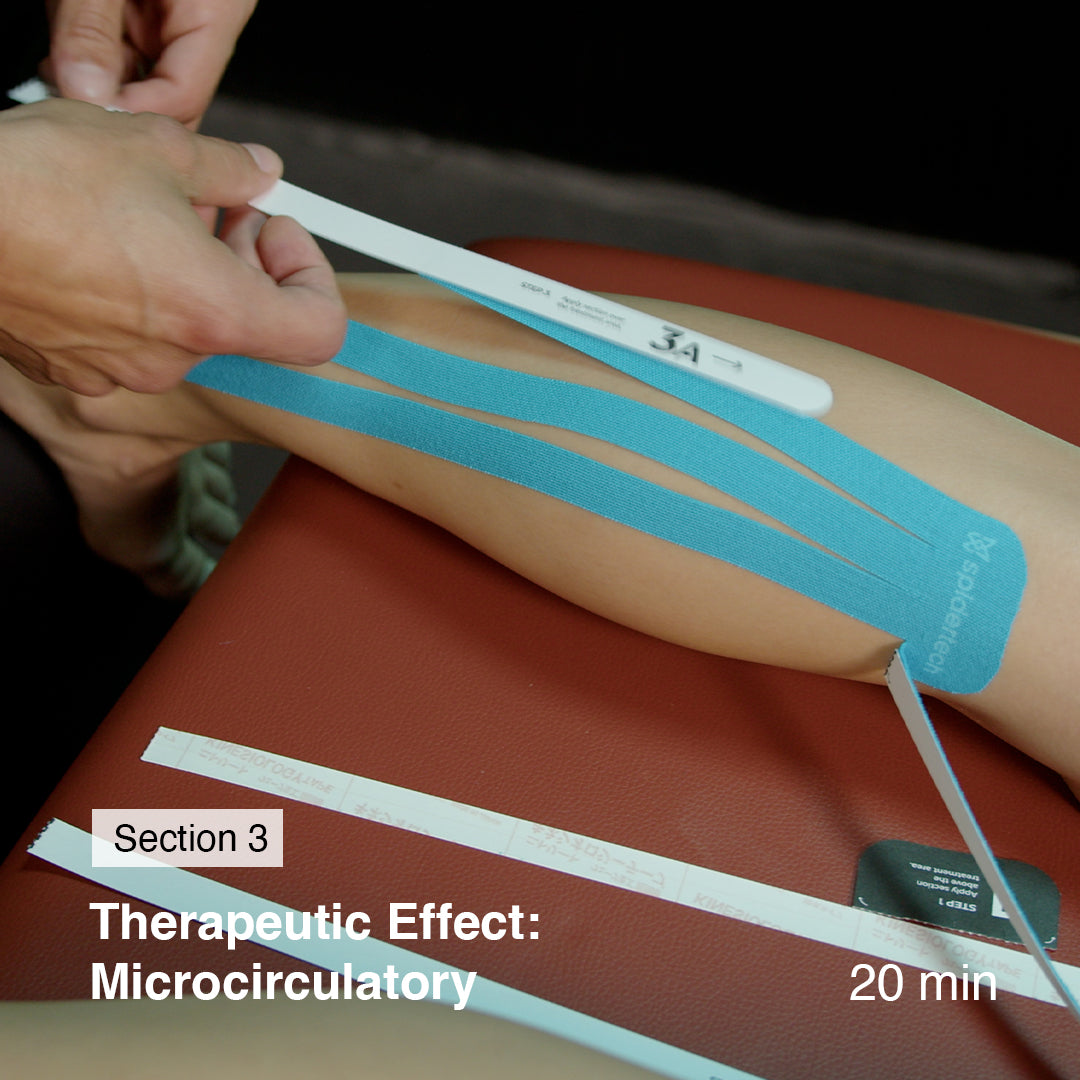 CE Course & Certification