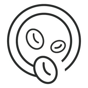 Bullet Icon