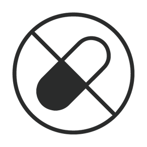 Bullet Icon