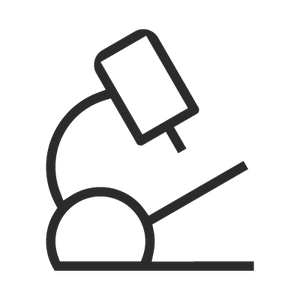 Bullet Icon